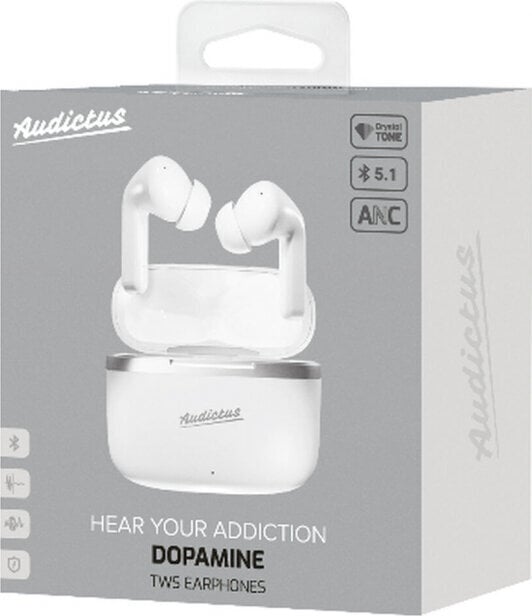 Audictus In-ear Bluetooth Headphones Audictus Dopamine цена и информация | Kõrvaklapid | hansapost.ee