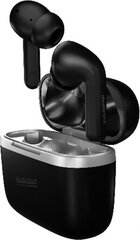 Audictus In-ear Bluetooth Headphones Audictus Dopamine hind ja info | Kõrvaklapid | hansapost.ee