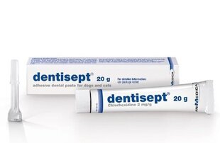 Липкая зубная паста для питомцев Dentisept, 20 г цена и информация | Средства по уходу за животными | hansapost.ee