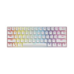 Клавиатура SAVIO Mechanical Keyboard Whiteout Brown (Оутему Браун), белая цена и информация | Клавиатура с игровой мышью 3GO COMBODRILEW2 USB ES | hansapost.ee