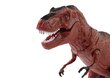 Rc dinosaurus Tyrannosaurus Rex efektidega Lean Toys hind ja info | Mänguasjad poistele | hansapost.ee