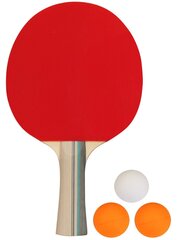 Набор для настольного тенниса GET & GO цена и информация | Avento Ракеточный спорт | hansapost.ee