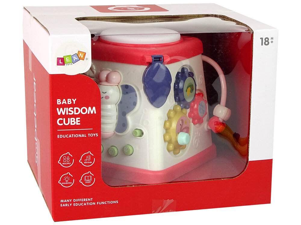 Interaktiivne kuubik Lean Toys hind ja info | Beebide mänguasjad | hansapost.ee