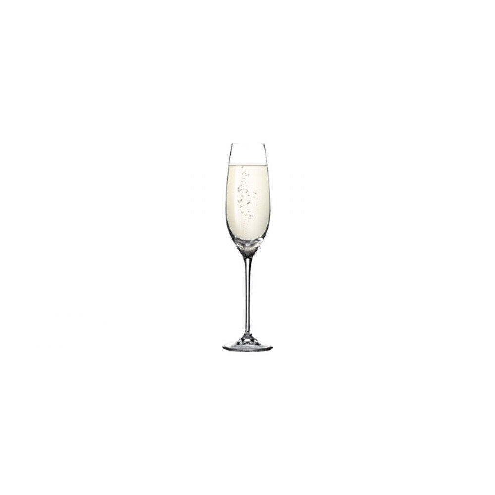 Tescoma Sommelier šampanjaklaasid, 210 ml, 6 tk. цена и информация | Klaasid, kruusid ja kannud | hansapost.ee