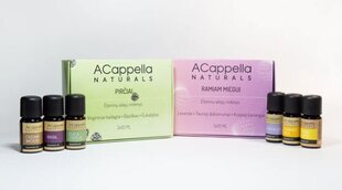 Eeterlike õlide komplekt Acappella saunaõli, 3x10 ml price and information | Kosmeetilsed ja eeterlikud õlid | hansapost.ee