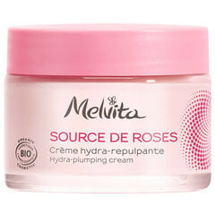 Niisutav näokreem Melvita Hydra-plumping Cream, 50 ml цена и информация | Кремы для лица | hansapost.ee