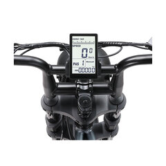 Электрический велосипед APE RYDER 20 A10 черный цена и информация | Электровелосипеды | hansapost.ee