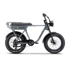 Elektrijalgratas APE Ryder A10, 20", must price and information | Electric bikes | hansapost.ee