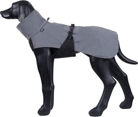 Vihmamantel koertele Rukka Shine, erinevad suurused, hõbedane цена и информация | Одежда для собак | hansapost.ee