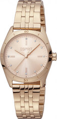 Женские часы Esprit ES1L292M0075 цена и информация | Женские часы | hansapost.ee