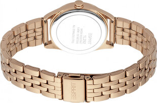 Женские часы Esprit ES1L292M0075 цена и информация | Esprit Для женщин | hansapost.ee