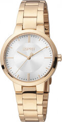 Женские часы Esprit ES1L336M0075 цена и информация | Женские часы | hansapost.ee