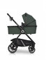 Vankrikorv Euro-cart Crox, Jungle hind ja info | Lapsevankrite tarvikud | hansapost.ee