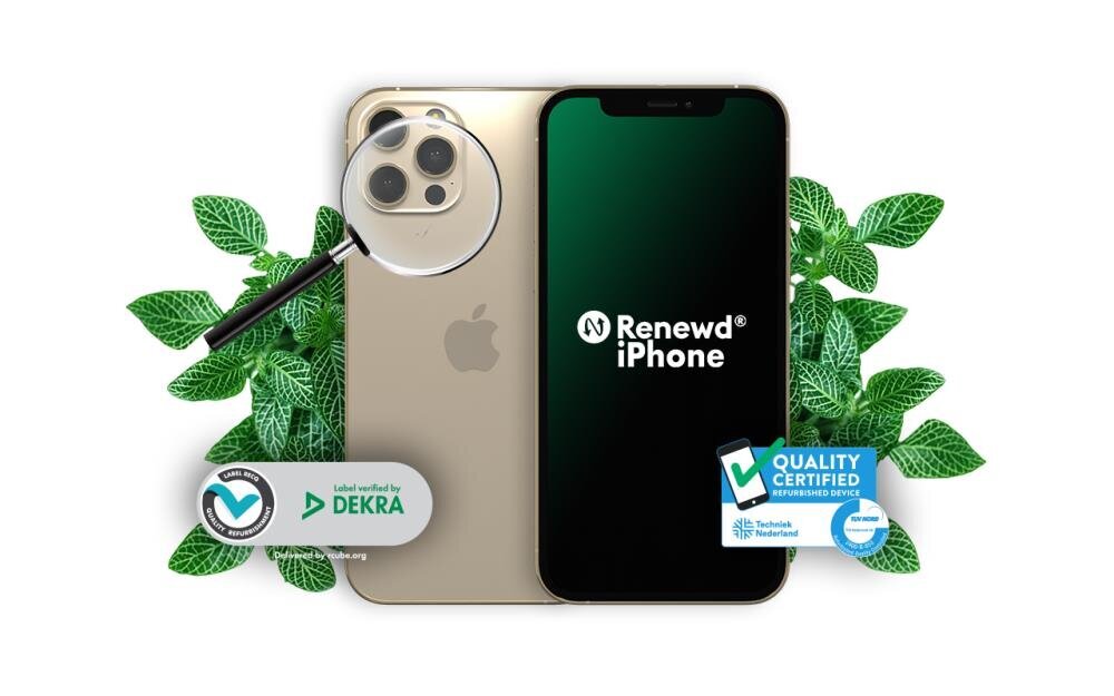 Renewd® iPhone 12 Pro Max 128GB RND-P213128 Gold hind ja info | Telefonid | hansapost.ee