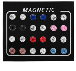 Современный набор магнитных серёг с цветными кристаллами Troli (бусы, мини брошь) цена и информация | Серьги | hansapost.ee