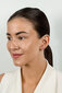 Hõbedased kõrvarõngad naistele Brilio Silver EA585/6/7/8W sBS2439-8 hind ja info | Kõrvarõngad | hansapost.ee