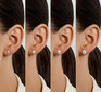 Hõbedased kõrvarõngad naistele Brilio Silver EA585/6/7/8W sBS2439-8 hind ja info | Kõrvarõngad | hansapost.ee