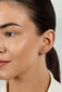 Kõrvarõngad naistele Brilio Silver EA580/1/2/3/4Y sBS2450-6 hind ja info | Kõrvarõngad | hansapost.ee
