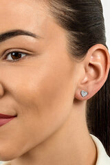 Kullatud kõrvarõngad tsirkooniumiga naistele Brilio Silver EA514Y sBS1856 hind ja info | Kõrvarõngad | hansapost.ee