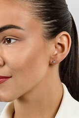 Kõrvarõngad naistele Brilio Silver EA617Y sBS2387 hind ja info | Kõrvarõngad | hansapost.ee