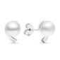 Hõbedased kõrvarõngad pärlitega naistele Brilio Silver EA595W sBS2410 hind ja info | Kõrvarõngad | hansapost.ee