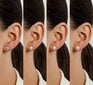Hõbedased kõrvarõngad naistele Brilio Silver EA585/6/7/8W sBS2439-5 hind ja info | Kõrvarõngad | hansapost.ee