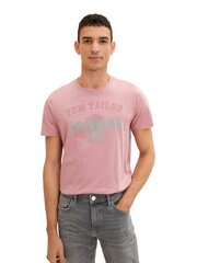 Мужская футболка Tom Tailor 1027028*13009, серо-розовая/серая, 4066887279669 цена и информация | Мужские футболки | hansapost.ee