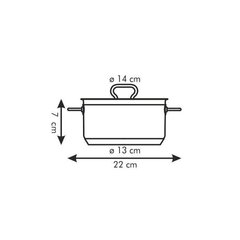 Tescoma pott koos kaanega, 14 cm, 1 l цена и информация | Кастрюли, скороварки | hansapost.ee