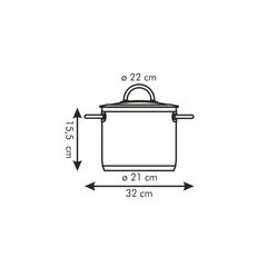 Tescoma Vision pott koos kaanega, 22 cm, 5,5 l hind ja info | Potid | hansapost.ee