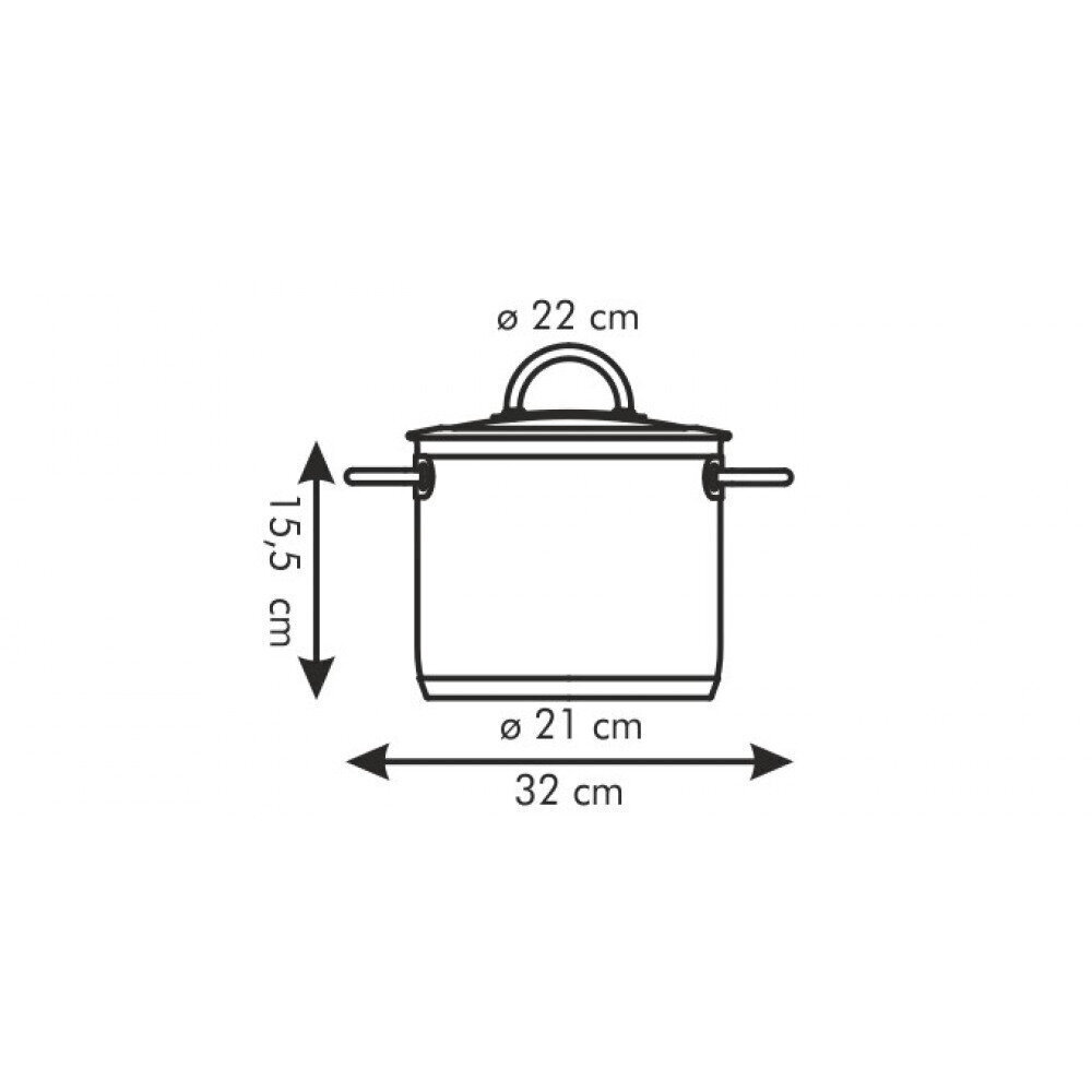 Tescoma Vision pott koos kaanega, 22 cm, 5,5 l цена и информация | Potid | hansapost.ee