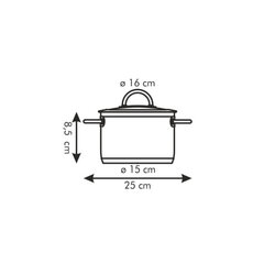 Tescoma Vision кастрюля с крышкой, 16 см, 1.5 л цена и информация | Кастрюли, скороварки | hansapost.ee