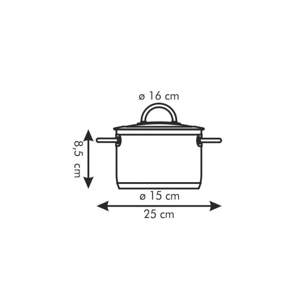 Tescoma Vision pott kaanega, 16 cm, 1,5 l цена и информация | Potid | hansapost.ee