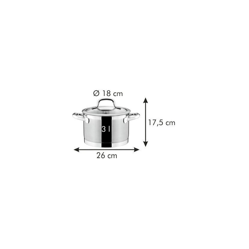 President pott kaanega, 18 cm, 3,0 l цена и информация | Potid | hansapost.ee