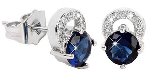 Troli Красивые сверкающие серьги с голубыми кристаллами цена и информация | Серьги | hansapost.ee