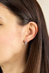 Hõbedased kõrvarõngad naistele Moiss E0000741 hind ja info | Kõrvarõngad | hansapost.ee