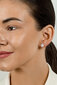 Hõbedased kõrvarõngad naistele Brilio Silver EA597R sBS2403 цена и информация | Kõrvarõngad | hansapost.ee