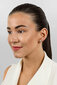 Hõbedased kõrvarõngad naistele Brilio Silver EA579Y sBS2462 hind ja info | Kõrvarõngad | hansapost.ee