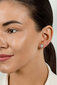 Kõrvarõngad tsirkooniumiga naistele Brilio Silver EA570R sBS2487 цена и информация | Kõrvarõngad | hansapost.ee