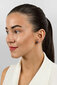 Kõrvarõngad naistele Brilio Silver EA601RB sBS2770 hind ja info | Kõrvarõngad | hansapost.ee