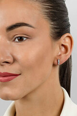 Kullatud kõrvarõngad tsirkooniumiga naistele Brilio Silver EA605Y sBS2780 hind ja info | Kõrvarõngad | hansapost.ee