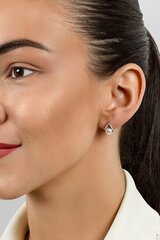 Hõbedased kõrvarõngad naistele Brilio Silver EA615W sBS2814 hind ja info | Kõrvarõngad | hansapost.ee