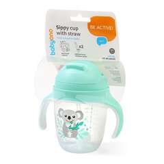 Tass koos kõrrega Babyono 1464/03, roheline, 6 kuud+, 240 ml price and information | Baby bottles and accessories | hansapost.ee