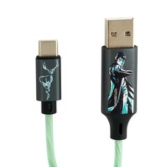 Helendav laadimiskaabel Harry Potter koos pistikutega USB A - C, 1,2 m pikk hind ja info | Mobiiltelefonide kaablid | hansapost.ee