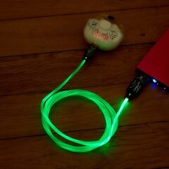 Светящийся зарядный кабель Harry Potter с разъемами USB A - C, длина 1,2 м. цена и информация | Кабели для телефонов | hansapost.ee