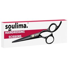 Парикмахерские ножницы Soulima 21461 цена и информация | Расчески, щетки для волос, ножницы | hansapost.ee