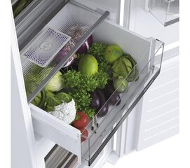 Haier HBW5519ECM цена и информация | Холодильники | hansapost.ee