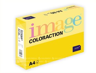 Image Coloraction A4/80gr, Sevilla Dark Yellow (617056) hind ja info | Vihikud, märkmikud ja paberikaubad | hansapost.ee
