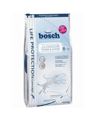 Bosch Junior Young & Active noortele kutsikatele, 12.5 kg hind ja info | Bosch Lemmikloomatarbed | hansapost.ee