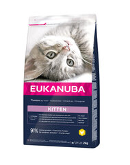 Eukanuba Cat Kitten All Breeds Healthy Start с курицей и печенью, 10 кг цена и информация | Eukanuba Товары для животных | hansapost.ee
