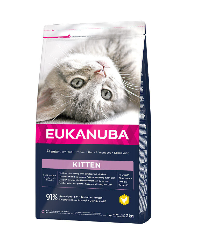 Eukanuba Cat Kitten All Breeds Healthy Start kassipoegadele kana ja maksaga, 10 kg цена и информация | Kassi kuivtoit ja kassikrõbinad | hansapost.ee